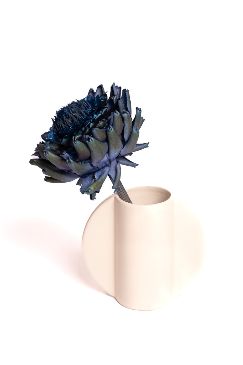 Blue Artichoke