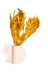 Ochre Seeded Willow