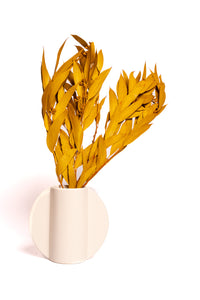 Ochre Seeded Willow