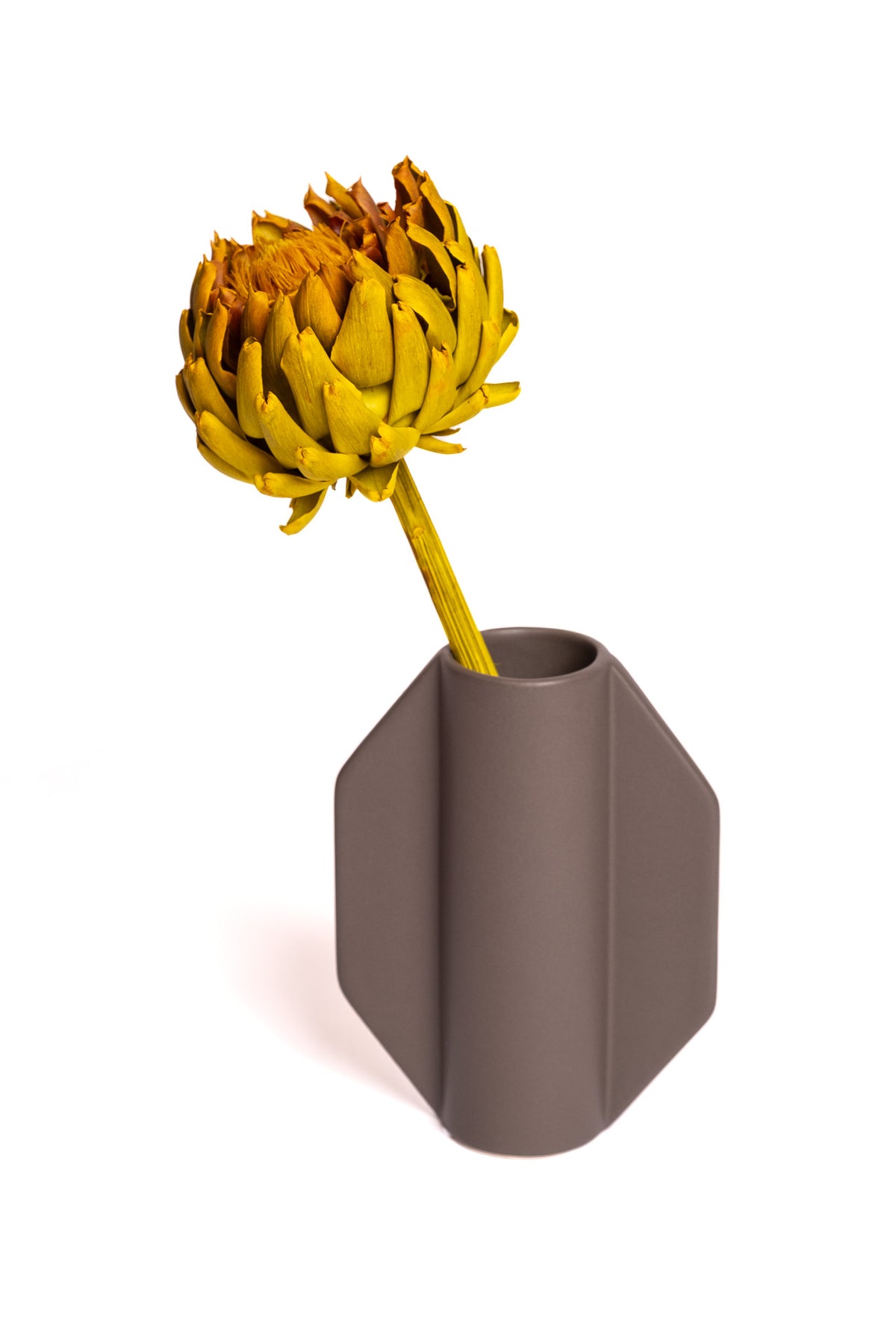 Chartreuse Artichoke