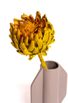 Chartreuse Artichoke