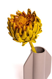 Chartreuse Artichoke