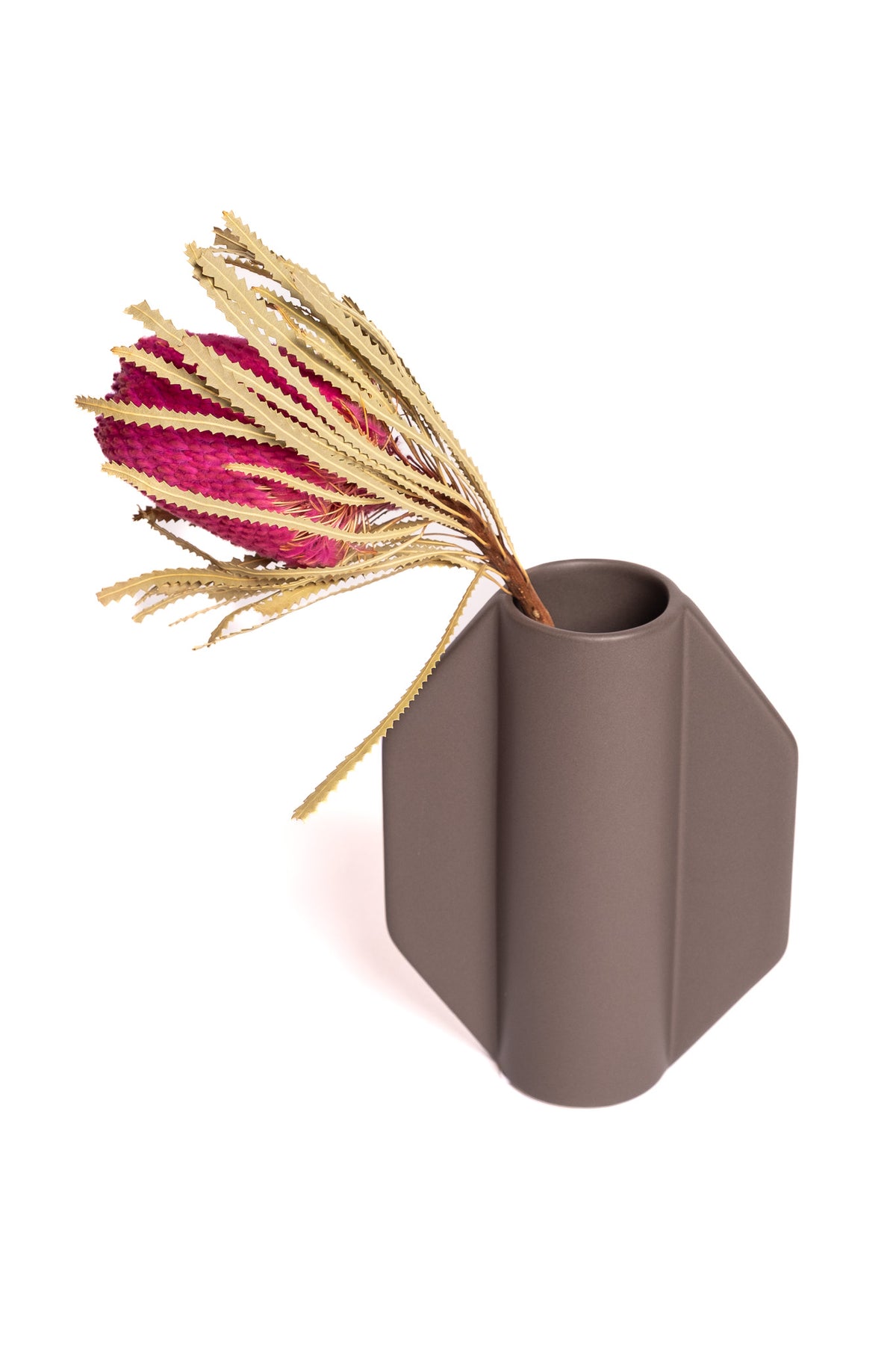 Fuchsia Pink Banksia