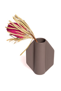 Fuchsia Pink Banksia