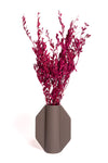 Maroon Myrtle