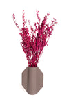 Maroon Myrtle