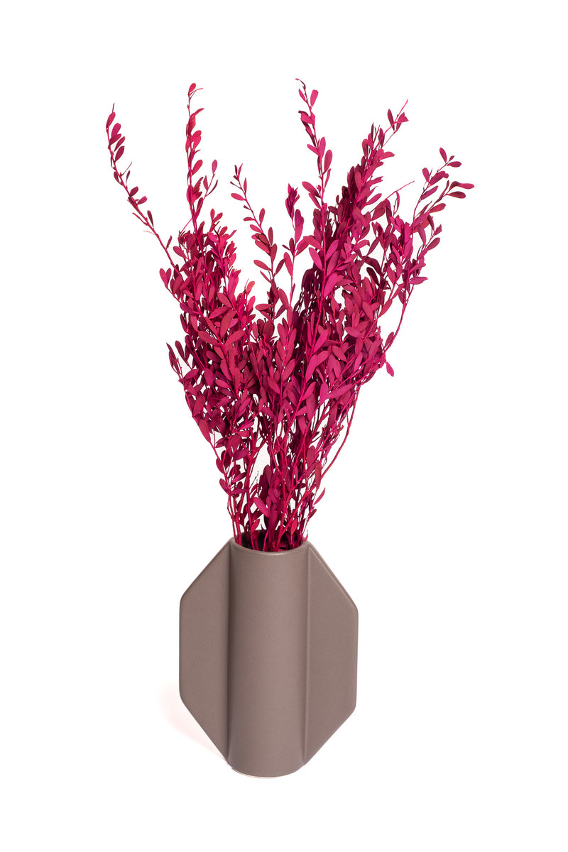 Maroon Myrtle