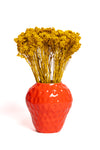 Mustard Yellow Crispum