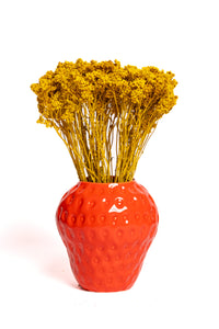 Mustard Yellow Crispum