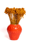Rust Crispum