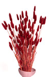 Burgundy Bunny Tails (Bunch)