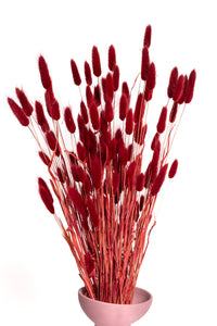 Burgundy Bunny Tails (Bunch)