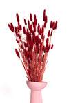 Burgundy Bunny Tails (Bunch)