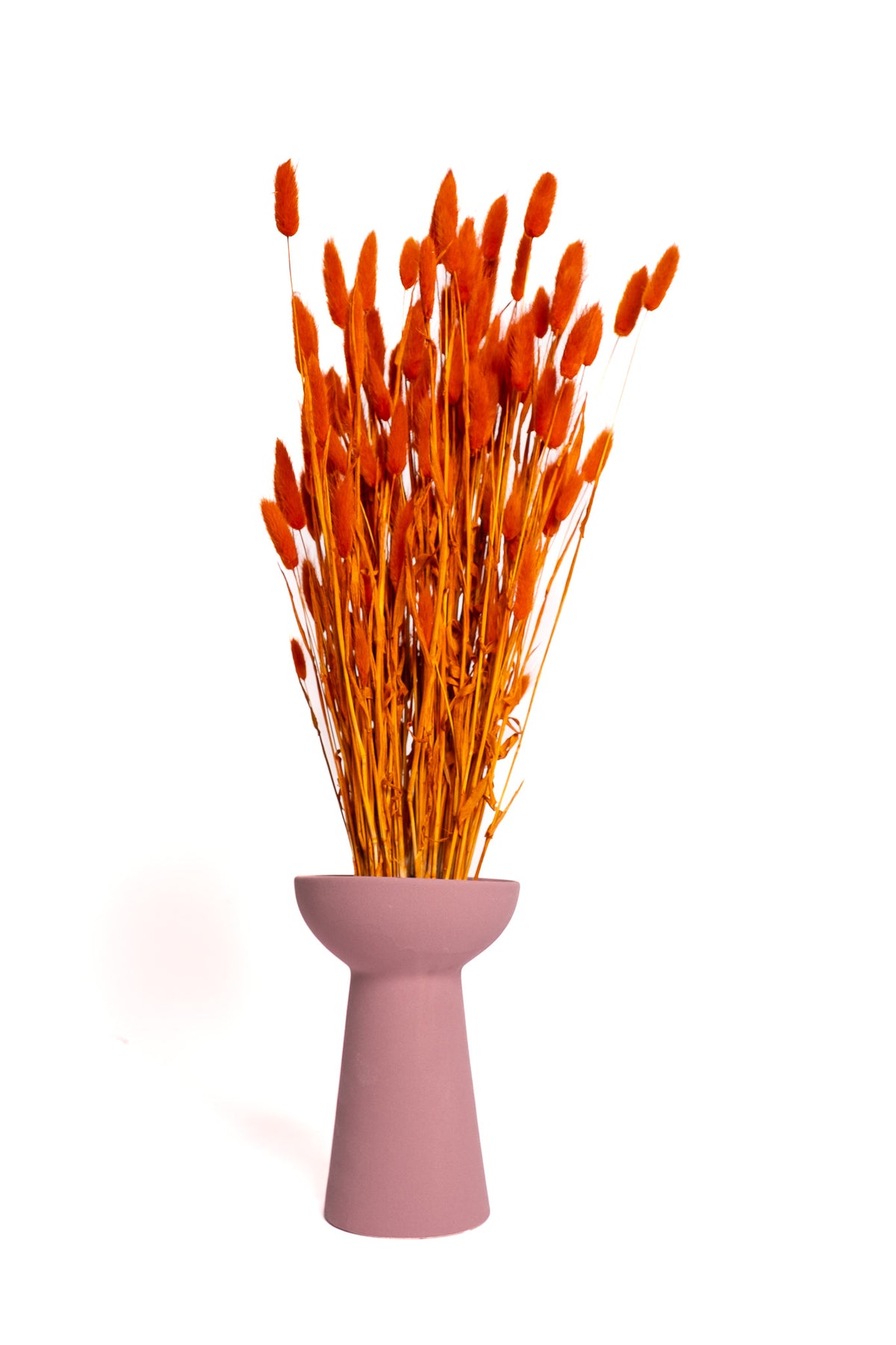 Rust Orange Bunny Tails