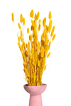 Mustard Yellow Bunny Tails