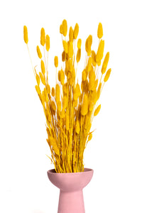 Mustard Yellow Bunny Tails