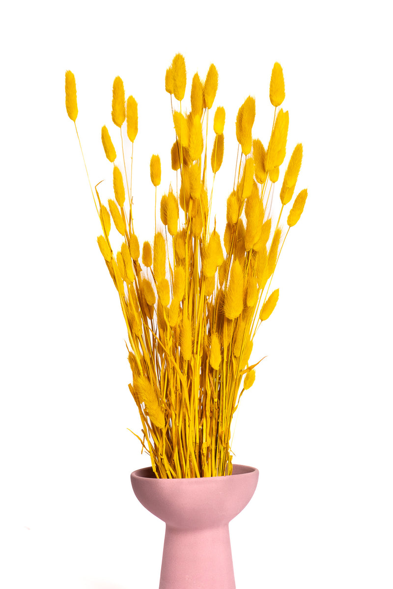Mustard Yellow Bunny Tails