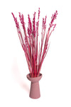 Maroon Oat Flower