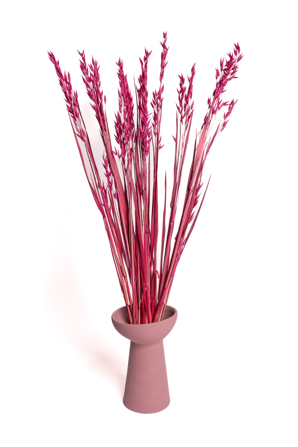 Maroon Oat Flower