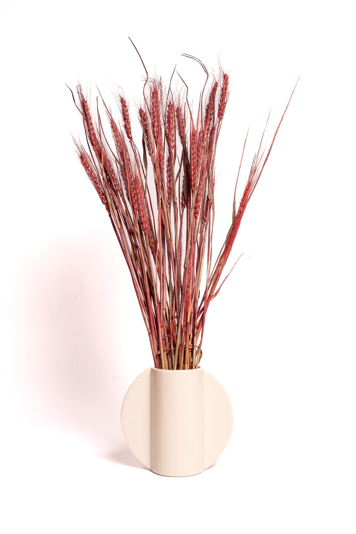 Burgundy Wheat