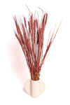 Burgundy Wheat
