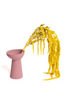 Mustard Yellow Amaranthus