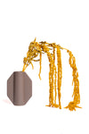 Rust Amaranthus