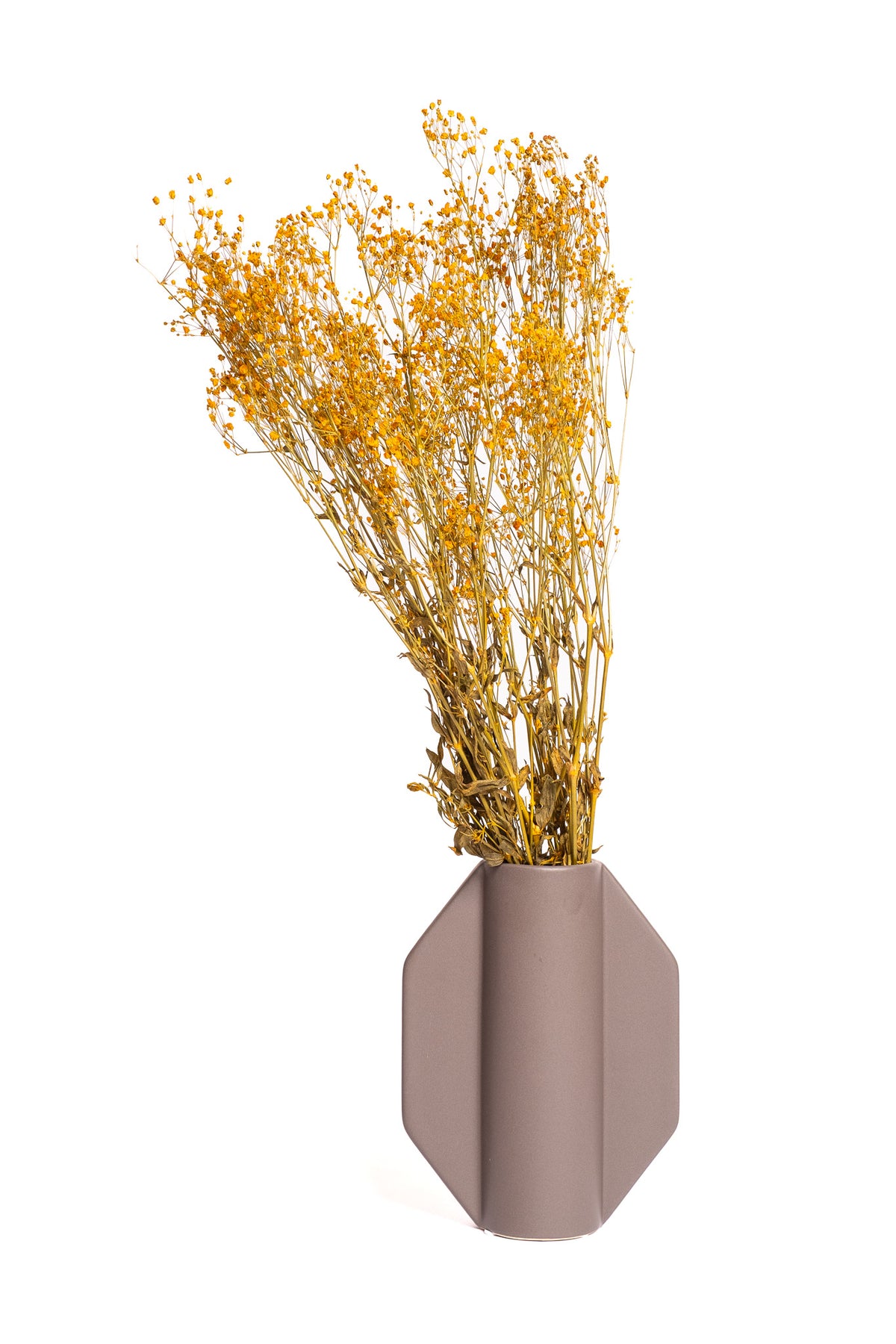 Rust Baby's Breath / Gypsophila
