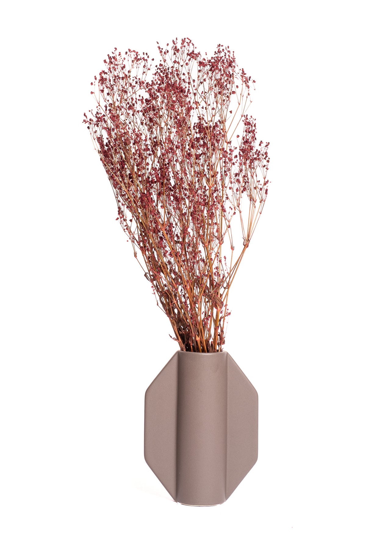 Burgundy Baby's Breath / Gypsophila