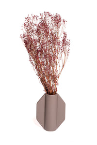 Burgundy Baby's Breath / Gypsophila