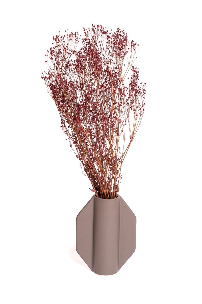 Burgundy Baby's Breath / Gypsophila
