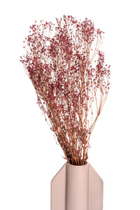 Burgundy Baby's Breath / Gypsophila