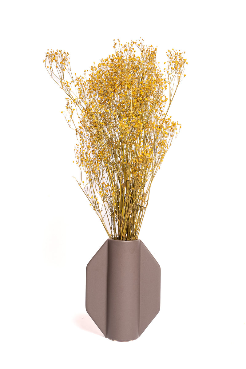 Mustard Yellow Baby's Breath / Gypsophila