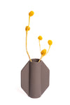 Yellow Muirii (Per Stem)