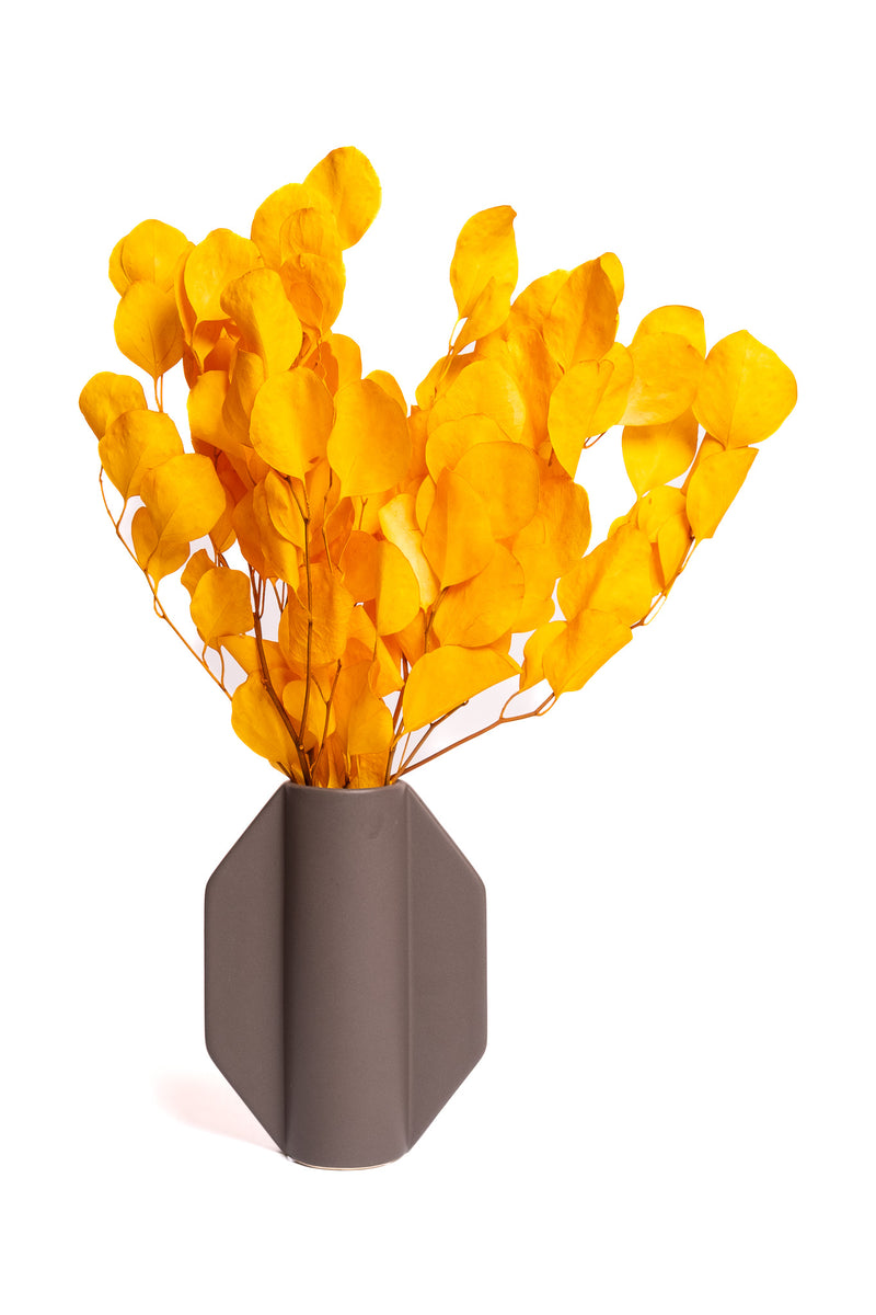 Orange Populus