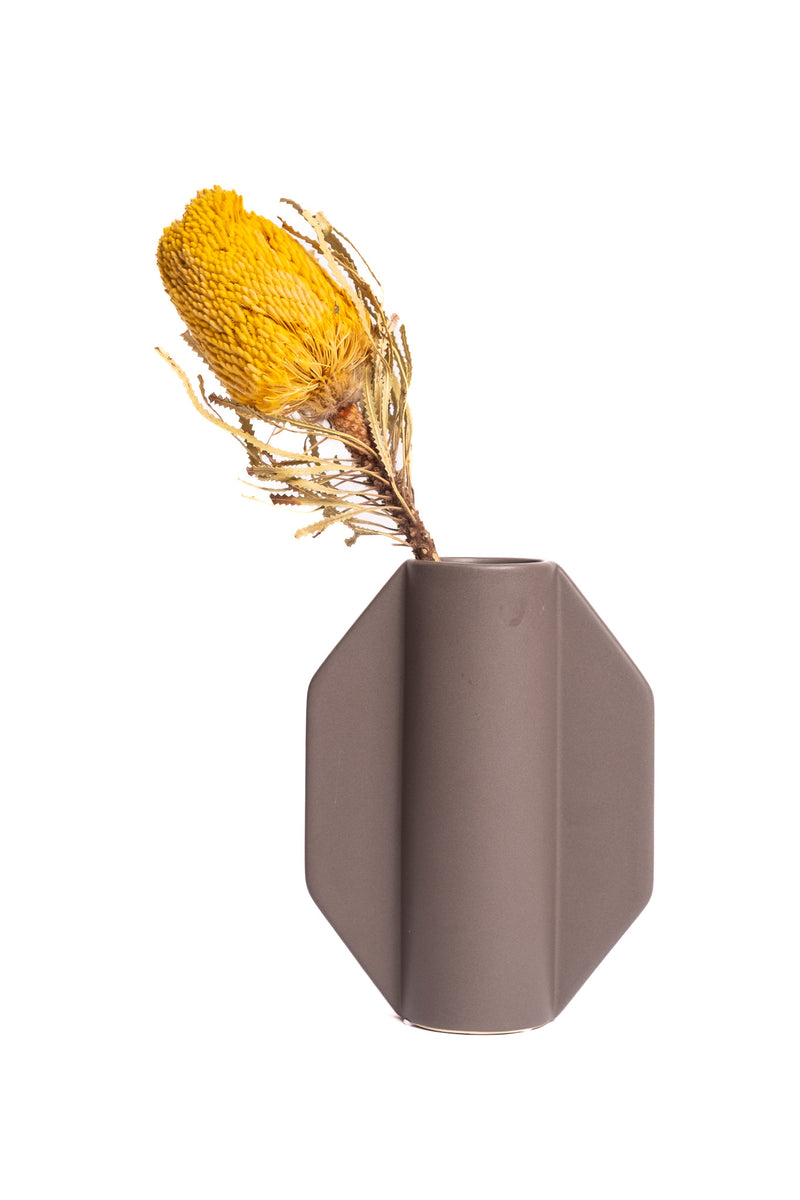 Yellow Banksia