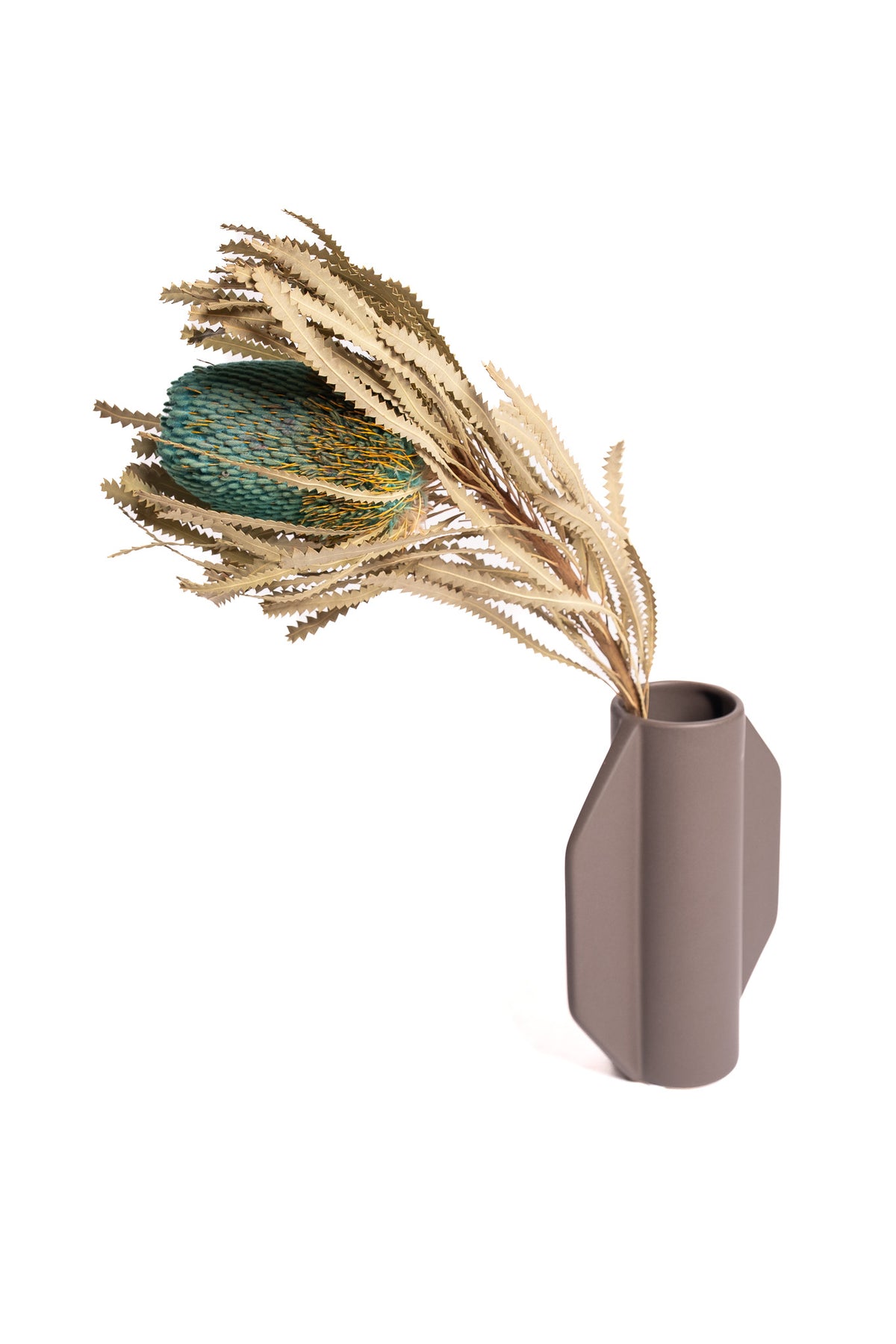Turquoise Banksia