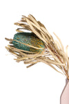 Turquoise Banksia
