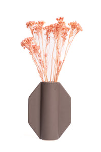 Light Pink Klaas Louw