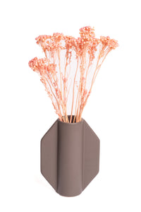 Light Pink Klaas Louw
