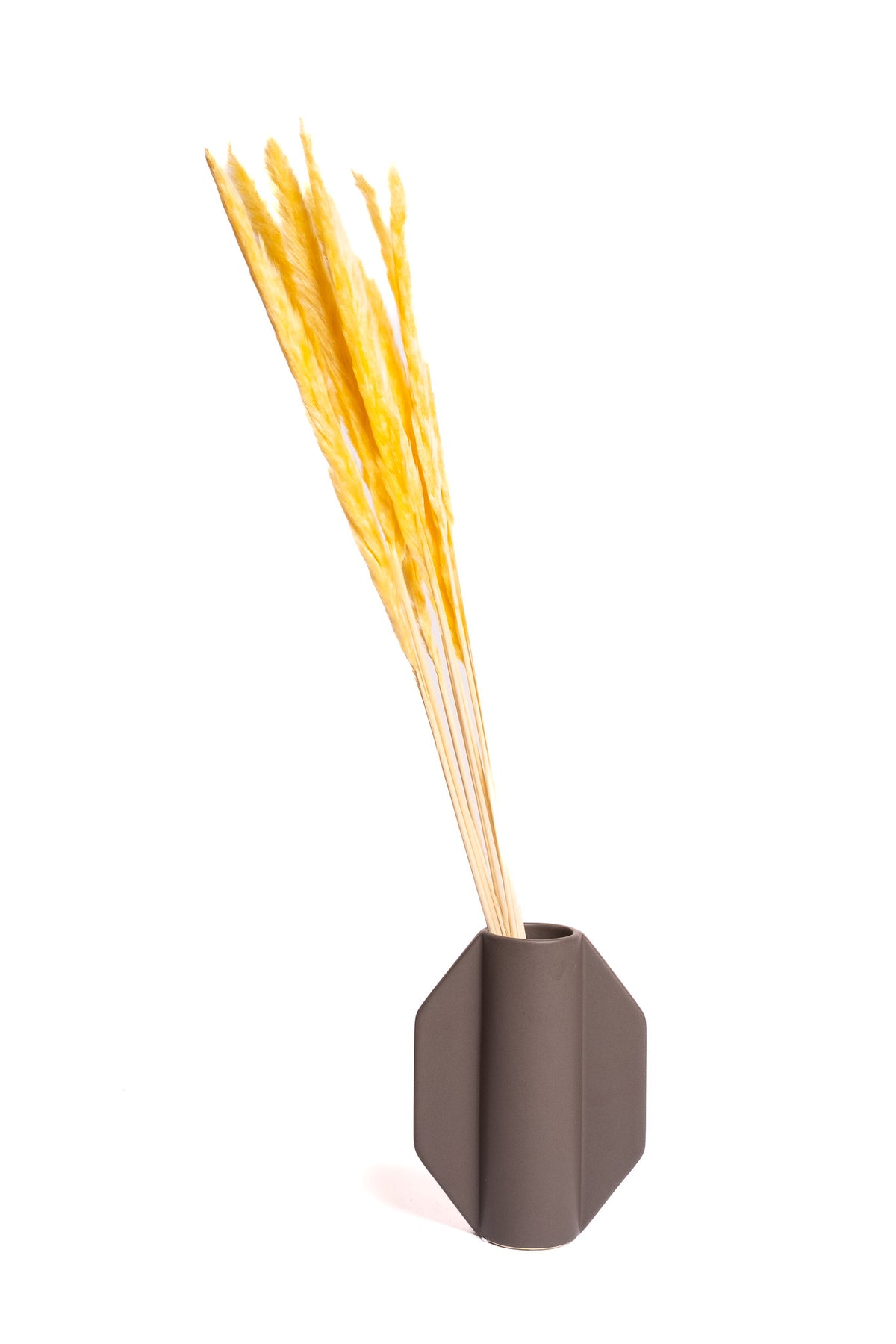 Yellow Mini Pampas