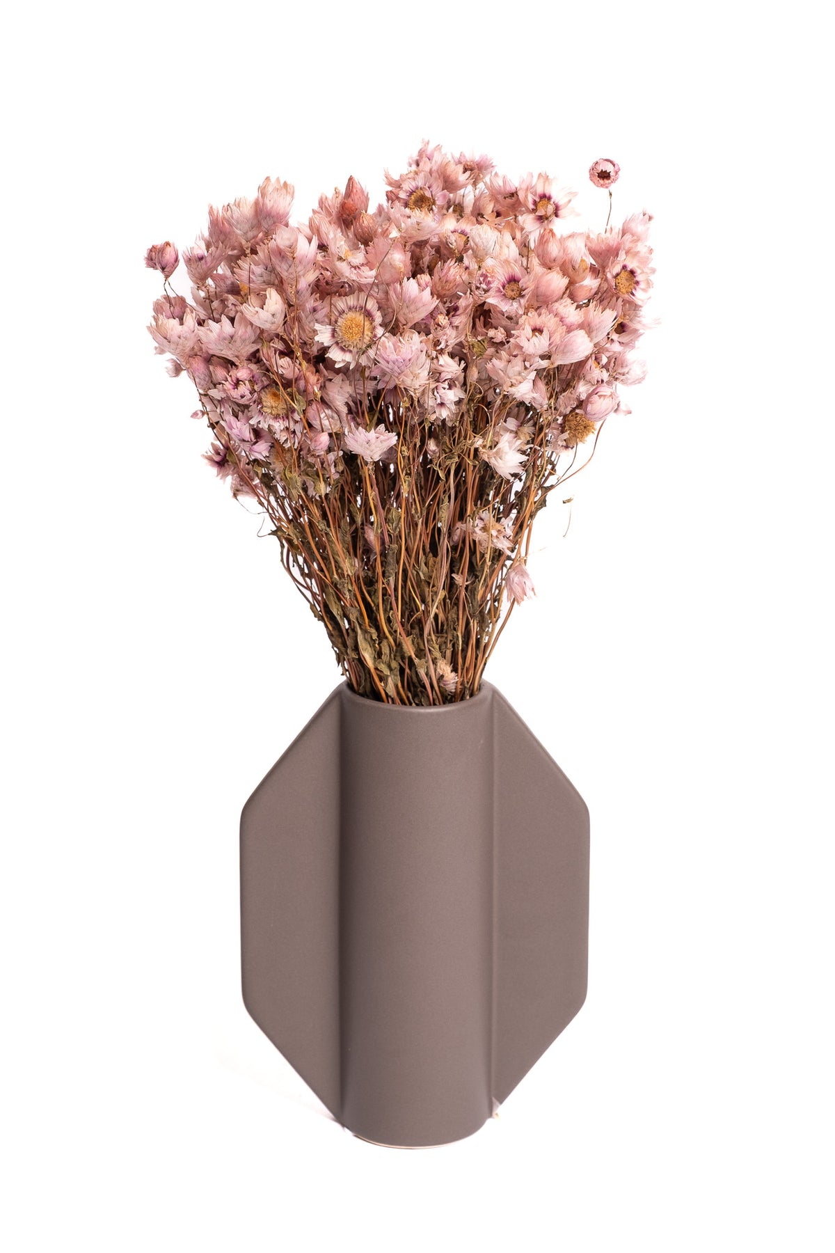Pink Rhodante