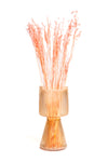 Coral Pink Oat Flower