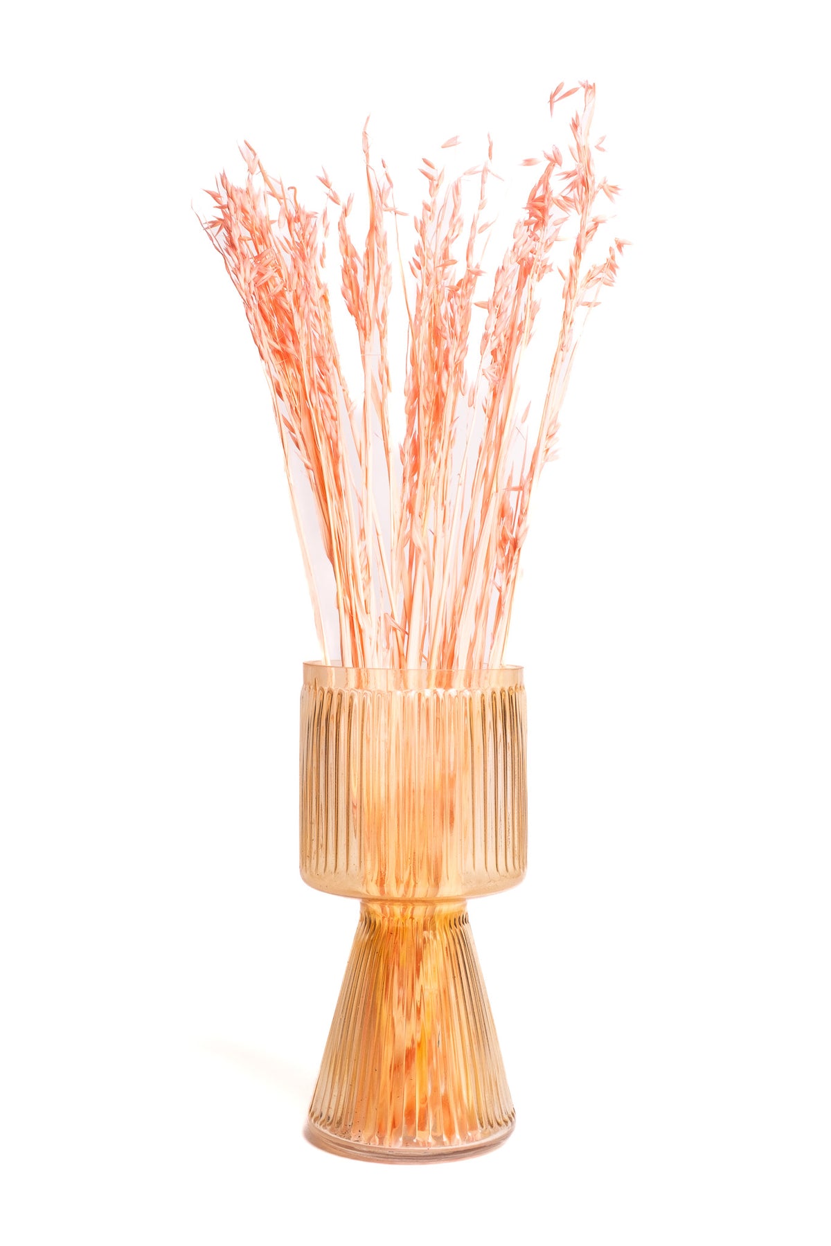 Coral Pink Oat Flower
