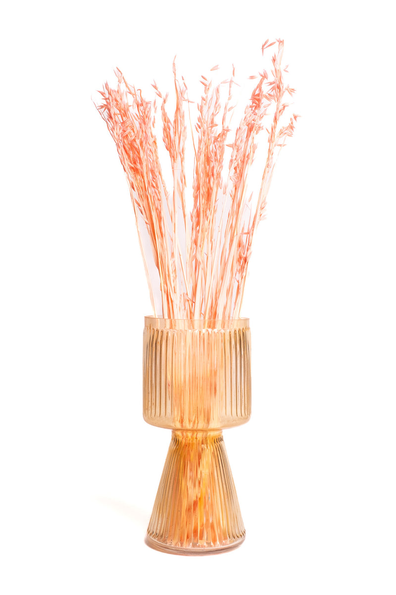 Coral Pink Oat Flower