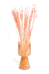 Coral Pink Oat Flower