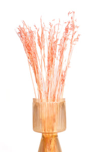 Coral Pink Oat Flower
