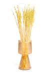 Light Chartreuse Oat Flower