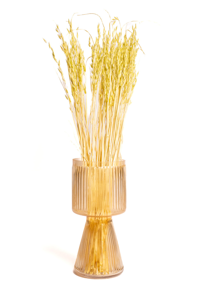 Light Chartreuse Oat Flower