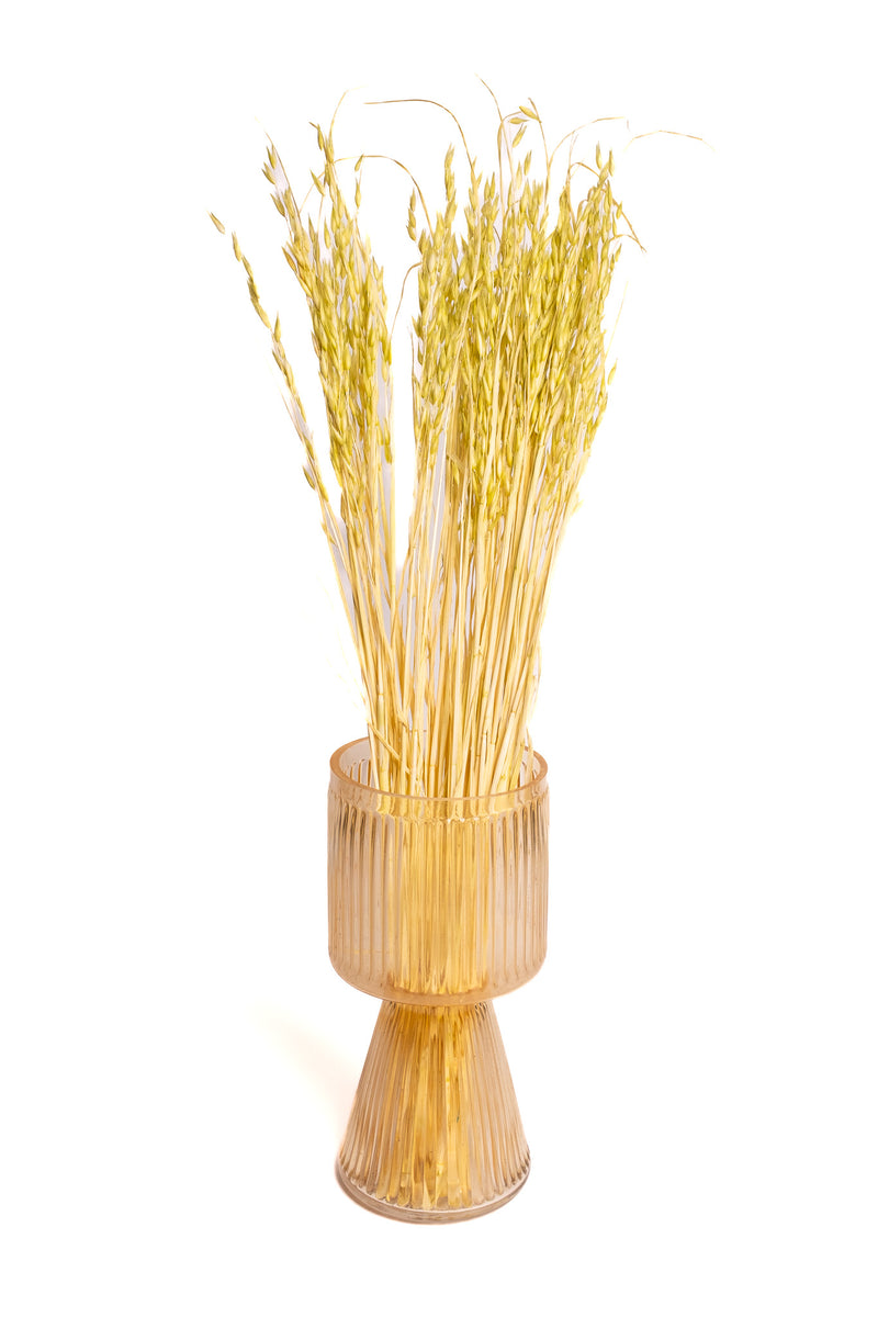 Light Chartreuse Oat Flower